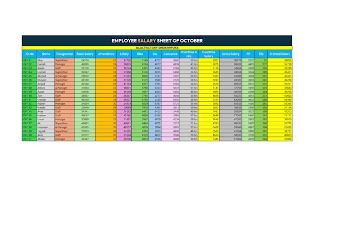 create professional excel salary sheets and payroll  system